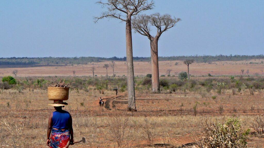 La lucha de las mujeres en Madagascar contra la sequía: "Mi futuro está aquí y tiene que existir una solución"